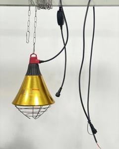 Lamp protector 2153P 1m male &1.5m female304cage2m304chain